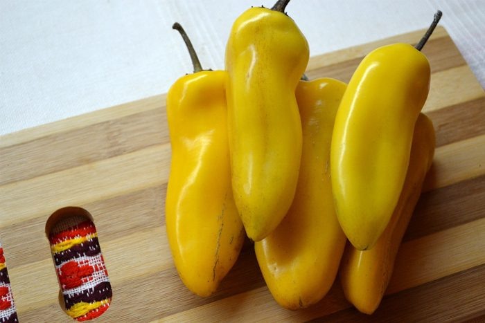 Сладкий перец Золотая оса: солнце в вашем огороде