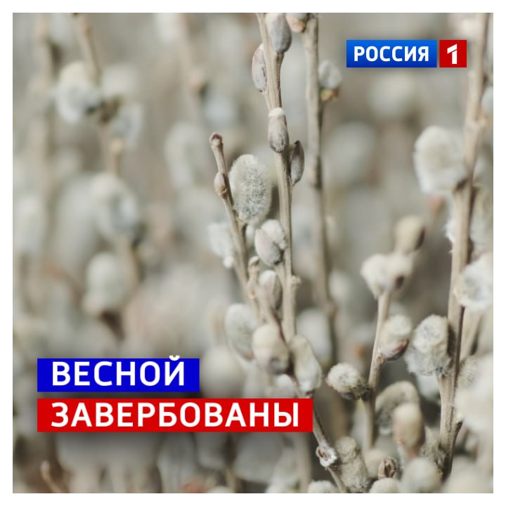 5 апреля, воскресенье. Сегодня у православных Вербное воскресенье