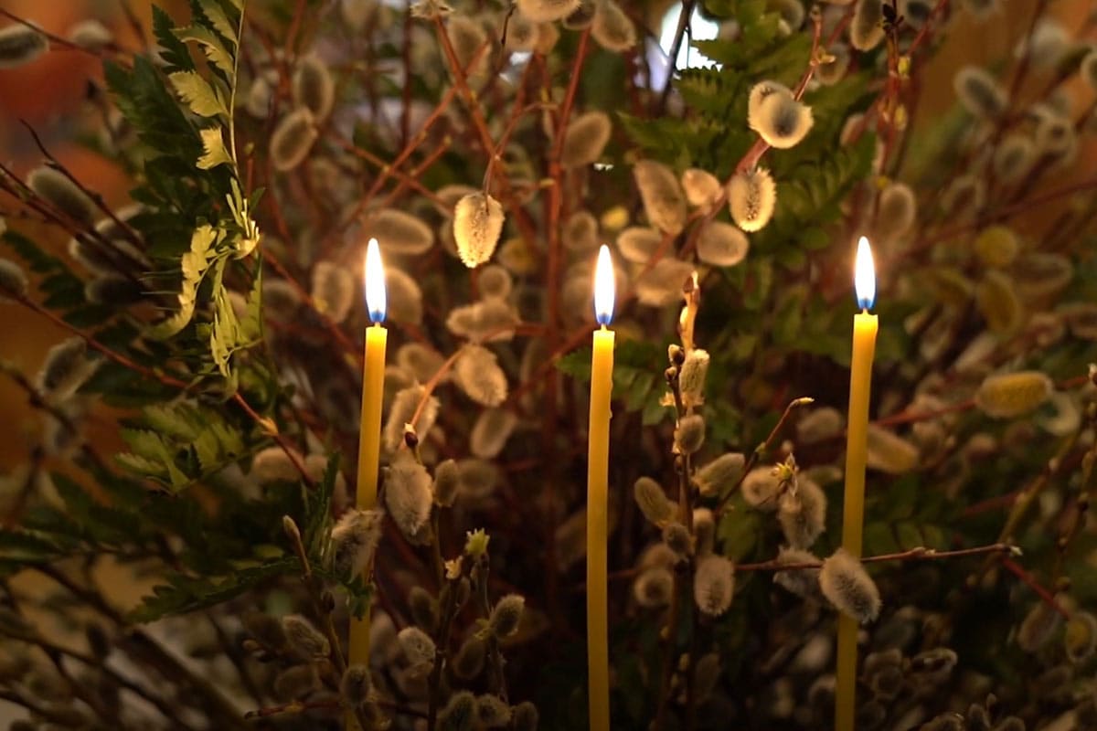 Нина Голубева: С Вербным Воскресеньем, дорогие касторенцы! Нина Голубева: С Вербным Воскресеньем, дорогие касторенцы!