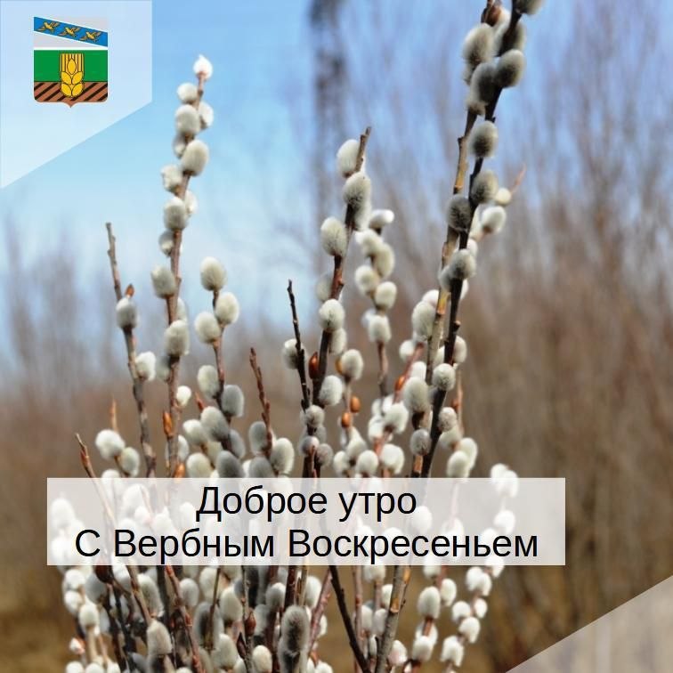 Доброе утро, жители Кореневского района!