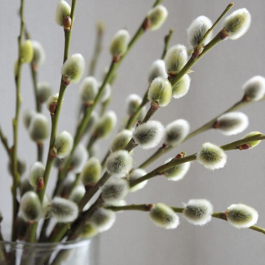 Барический гребень, ранее установившийся над территорией региона, сейчас теснит небольшой циклон с северо-запада