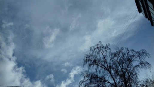 �����, ������� ����� ��������� ������, 6 ������, � ������� �������