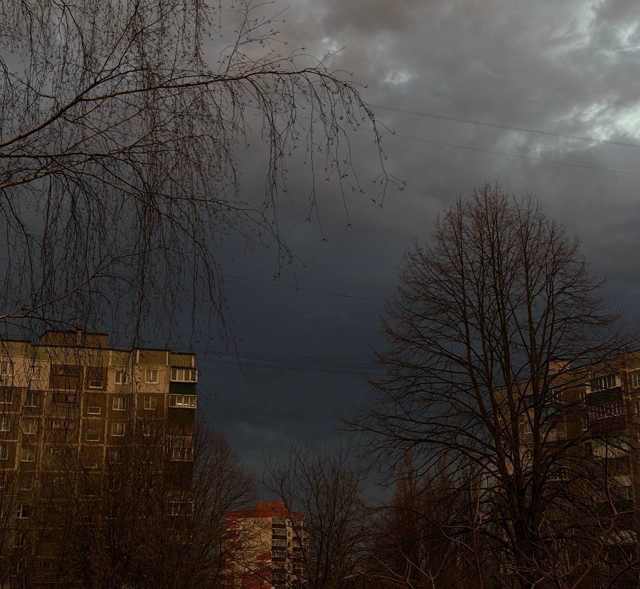 Штормовое предупреждение с грозами и сильным ветром объявлено в Курской области