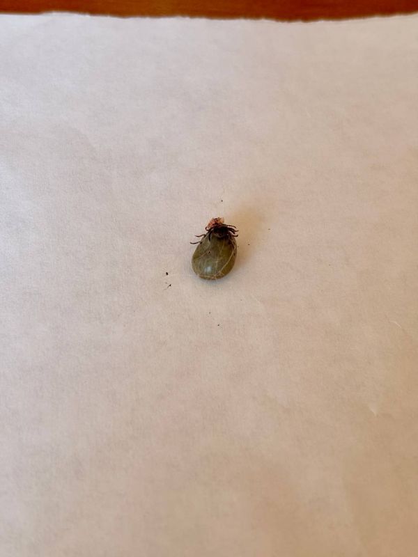 � ������� ������� 22 ������� ������ ���������� �� ������ ������