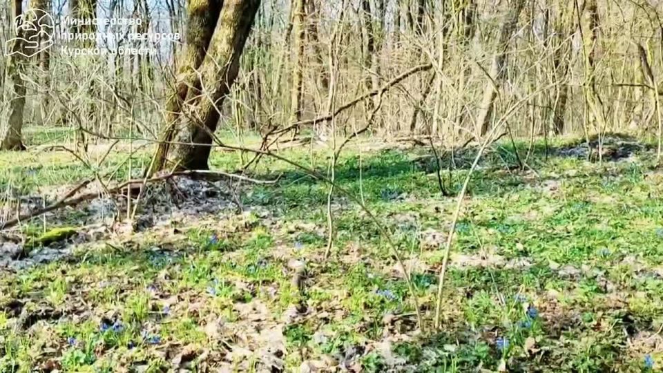 ��� �����������! �� ����� ������� � ��������� ������� ������� ����������� �� ����� ����������: ������ ��������, �������� ���������, ��������