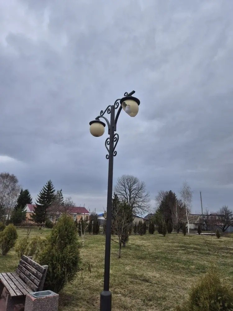 В парке посёлка Золотухино по улице Кирова произошёл вопиющий случай!