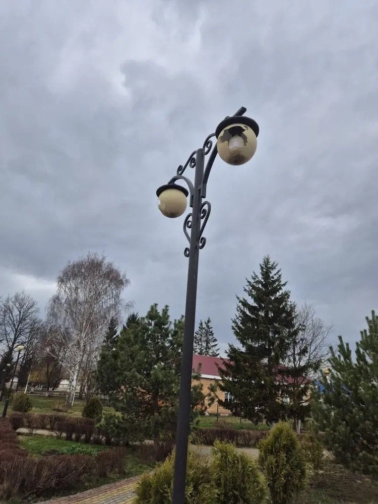 В парке посёлка Золотухино по улице Кирова произошёл вопиющий случай! В парке посёлка Золотухино по улице Кирова произошёл вопиющий случай!