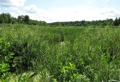 �� ���������� ������� ������� ������ �������� ������� ������������� �������� ������� �������