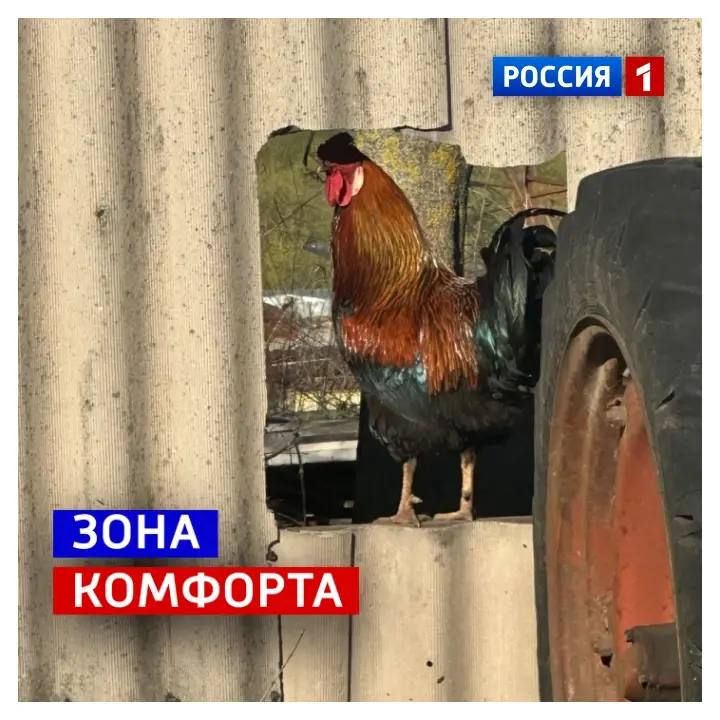 6 ������, �����������. ���� ����������, ��������� � �������� � �� ���� ������ �������� �����