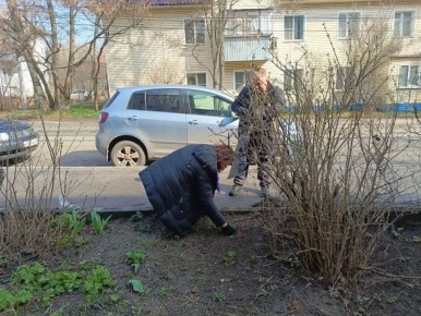 ����� ���������� �������������� � ������������� ������ �����������