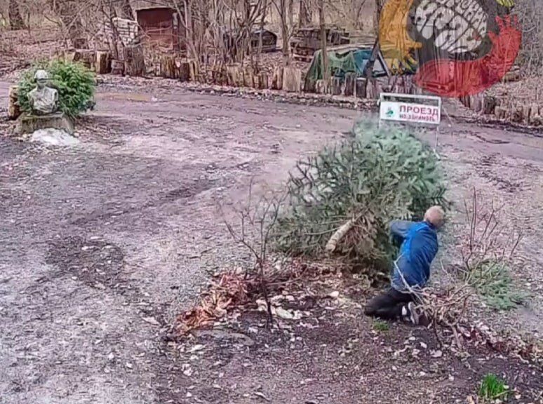 ����� ������������ ����� �������� �������, ��� 7 ������ ���������� �������� ��������� ����� ����� � ������� �������� ����� ��������� �����, ��� ����� ���� �������� ��������������� ������