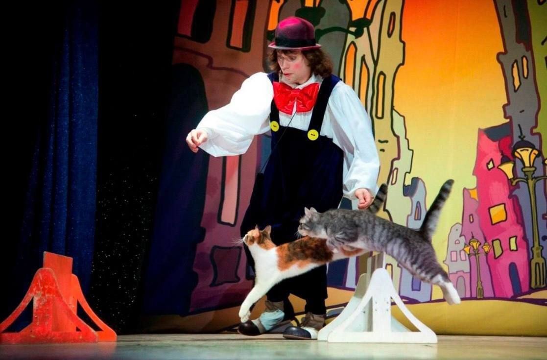 Вижа, Глуша и Холи: Шерстяные ветераны СВО сорвали овации в театре Куклачёва Вижа, Глуша и Холи: Шерстяные ветераны СВО сорвали овации в театре Куклачёва