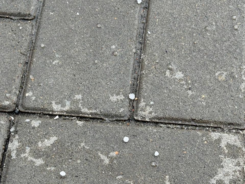 � ����� ������ ��������: ����� ������ ����