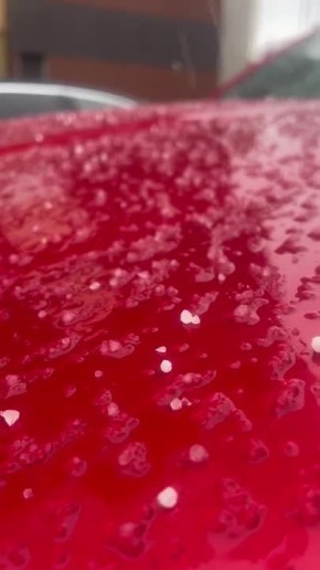 � ������ ������ ����� ������