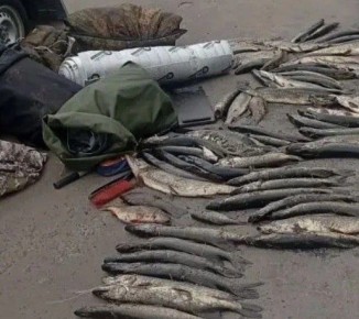 �������� �������� ������� ����������� �� ����� � ������� �������