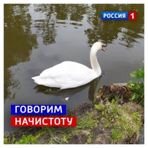 9 ������, �������. �� ������������ �������� ������� ������ �������