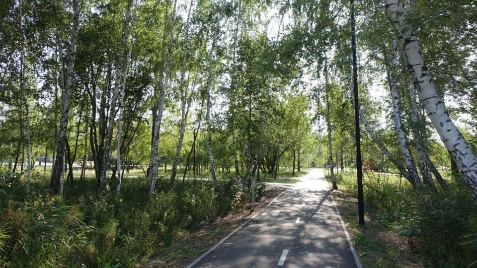 ����� ���������: ������� �������� ������ ���� � �������� ��� ������ ������ ������ �� ������������