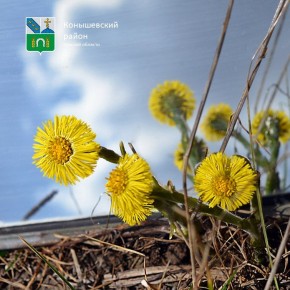 Доброе утро!. Сегодня, облачно с прояснениями