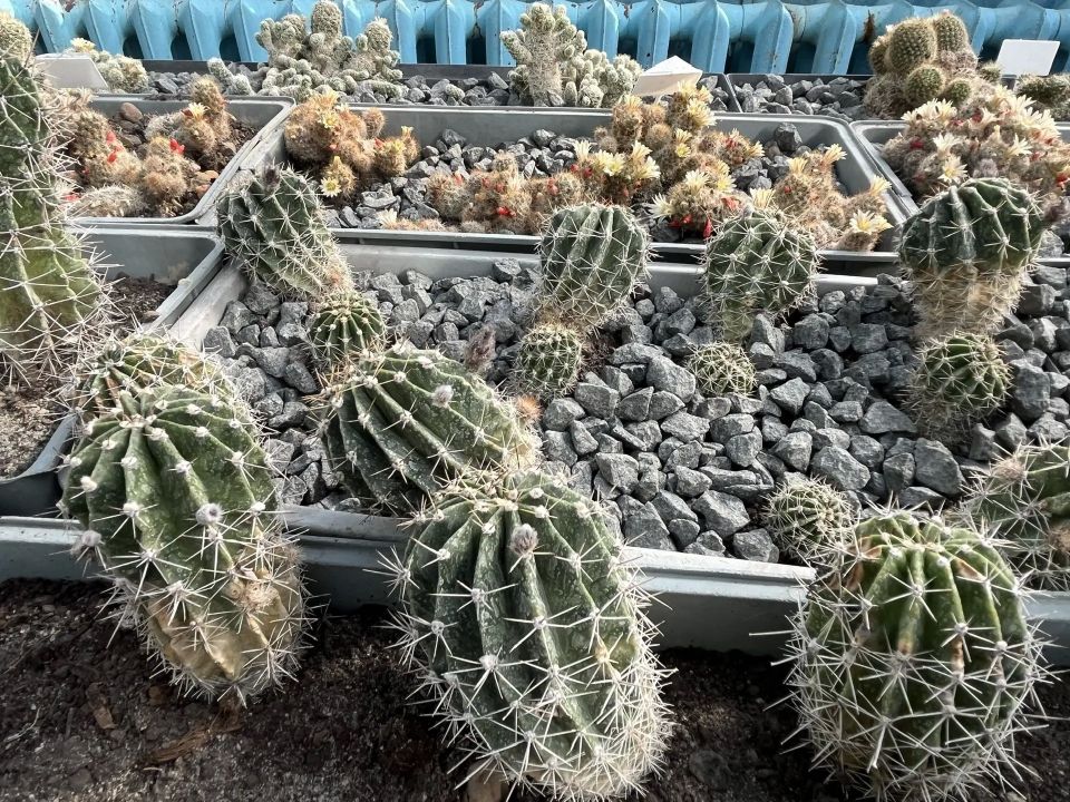 ���� �� ����� ����� ������ �������� � ���� �����, � ��������� �������� ��������� ������������ ��� ����� ������� ������ � ������