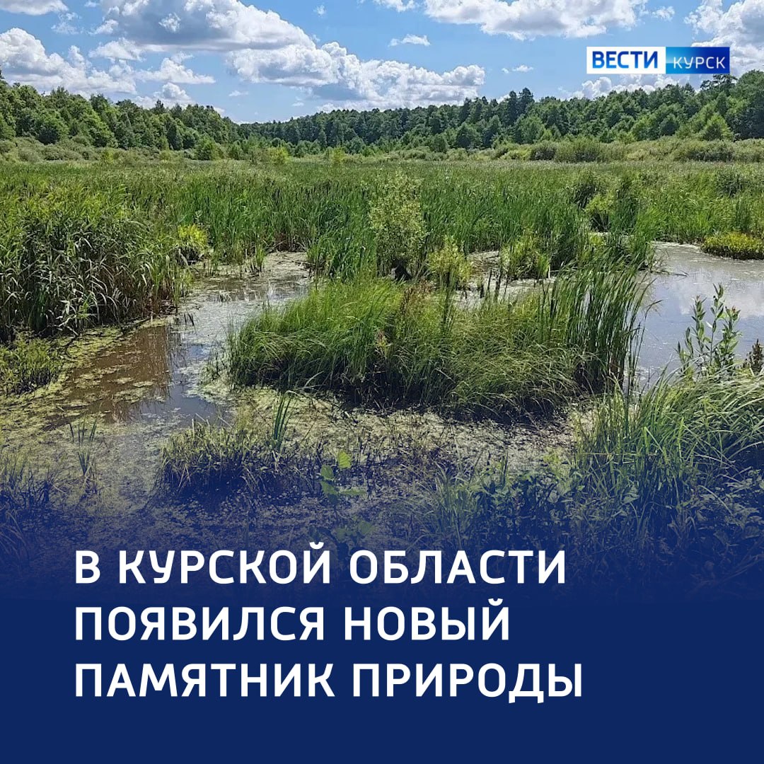 «Зеленая жемчужина»: 32 га заповедной зоны