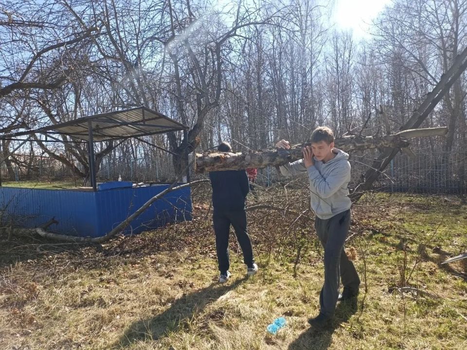 �������� �������� ��������� ����������� �������� (�����) � ���� ���� ������ ������ ���������