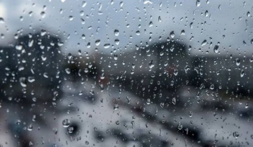 � ������� ������� 11 ������ ��������� ���� � �����