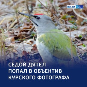 ���������� � �����: ����� ����� �������� �������