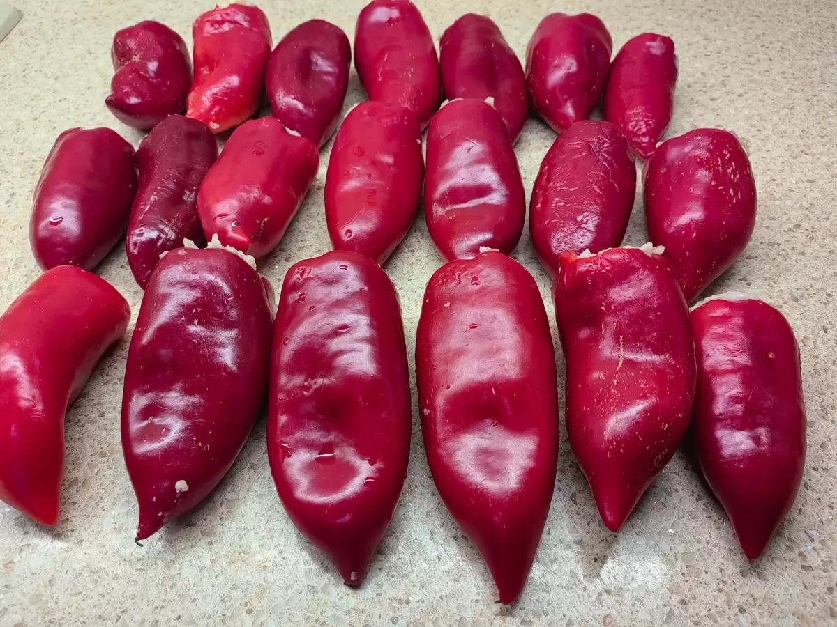 Фаршированные перцы: секреты идеального блюда и хитрости, которые не оставят равнодушными