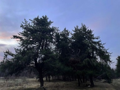 � ������� ������� 12 ������ ��������� ��������� ����������