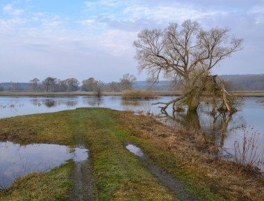 ������ ���� �����. ����: ����� ��������