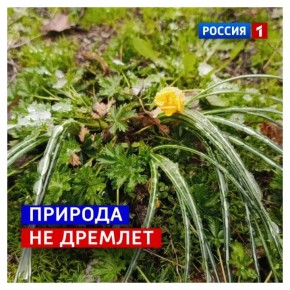 11 ������, �������. � �� ����� �� �����, �� ����