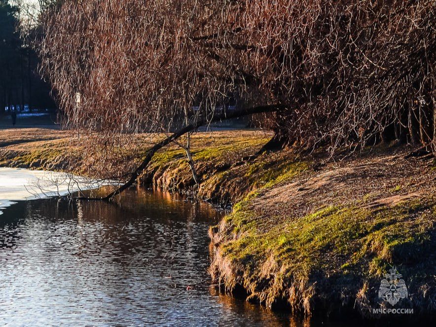 � ������� ������� ������ �������