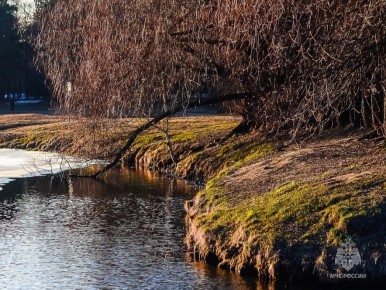 � ������� ������� ������ �������