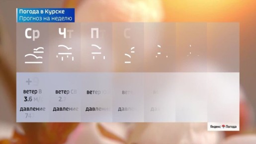 �� 14 ������. ����� ������ | �������� | MAX