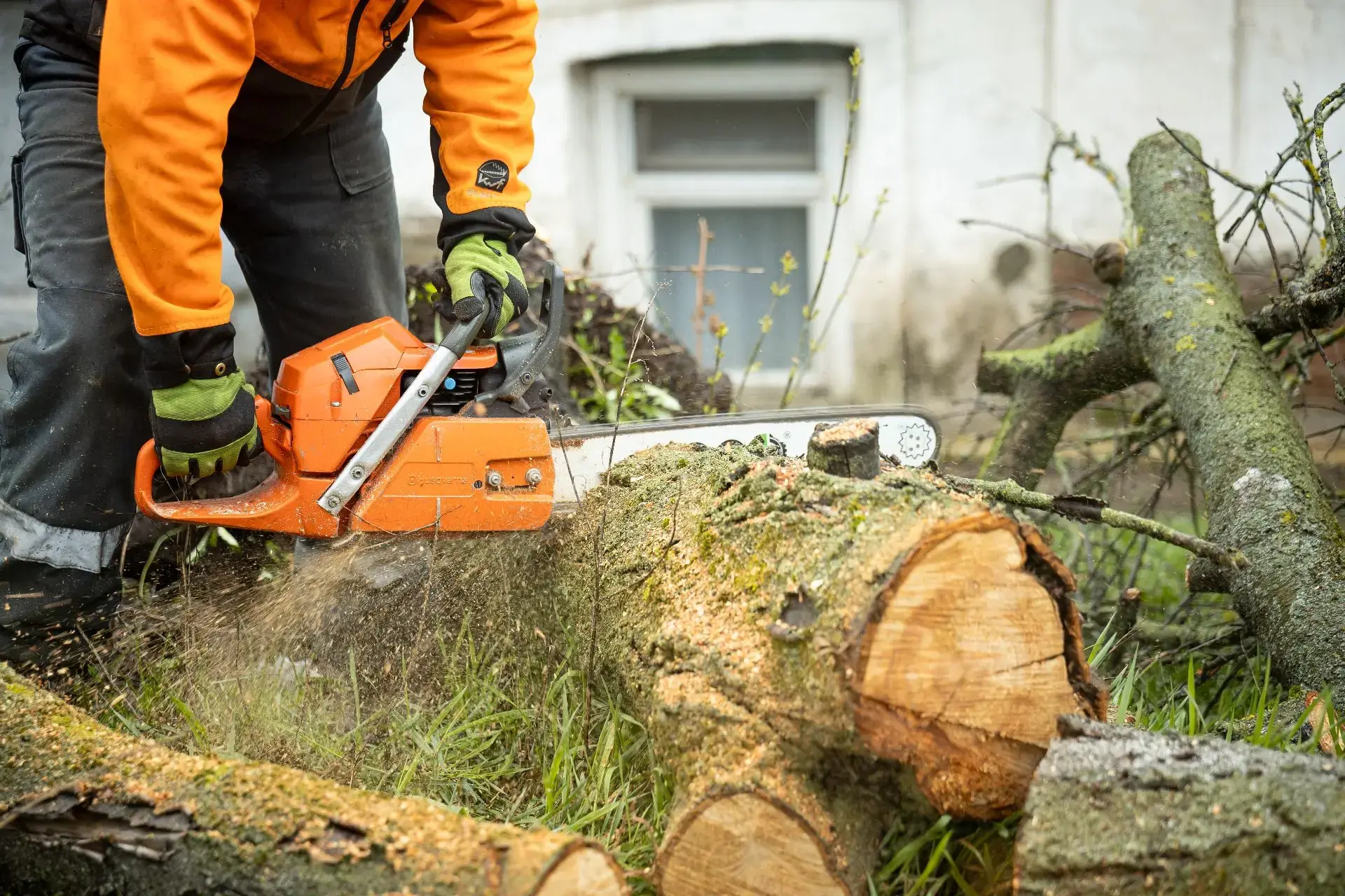 Спасатели ликвидировали последствия сильного ветра в Курске Спасатели ликвидировали последствия сильного ветра в Курске