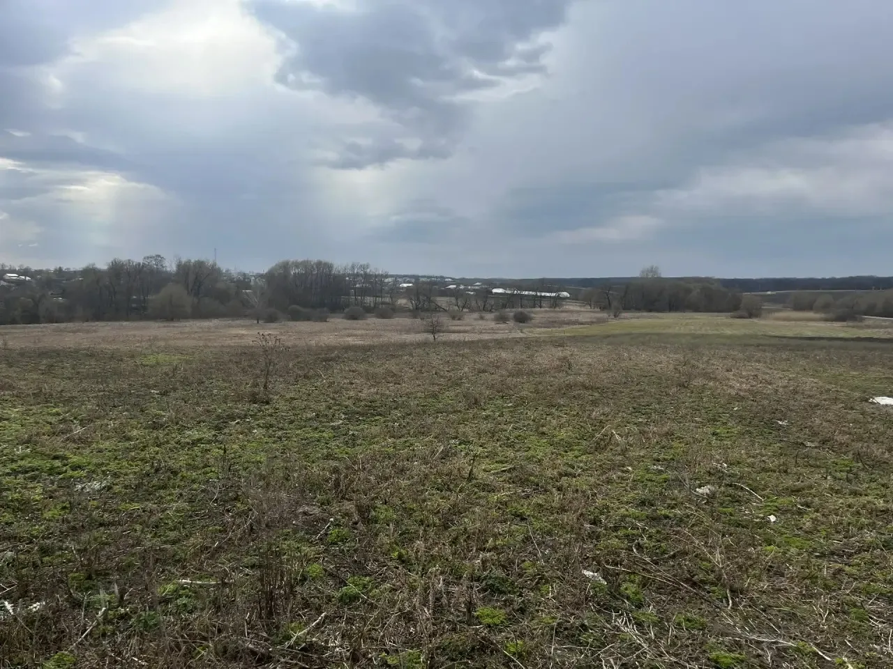В Мантуровском районе прокуратура добивается признания недействительным договора купли-продажи земельного участка В Мантуровском районе прокуратура добивается признания недействительным договора купли-продажи земельного участка