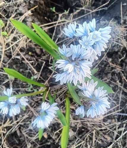 Игорь Корпунков: В Курчатове продолжается месячник по повышению уровня благоустройства и чистоты Игорь Корпунков: В Курчатове продолжается месячник по повышению уровня благоустройства и чистоты