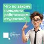 Какие меры поддержки положены работающим студентам?