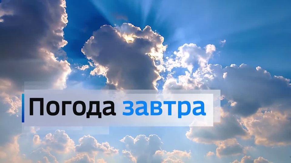 �� 15 ������. ����� ������ | �������� | MAX
