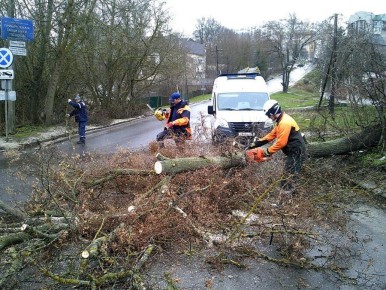 В Курске сильный ветер валит деревья