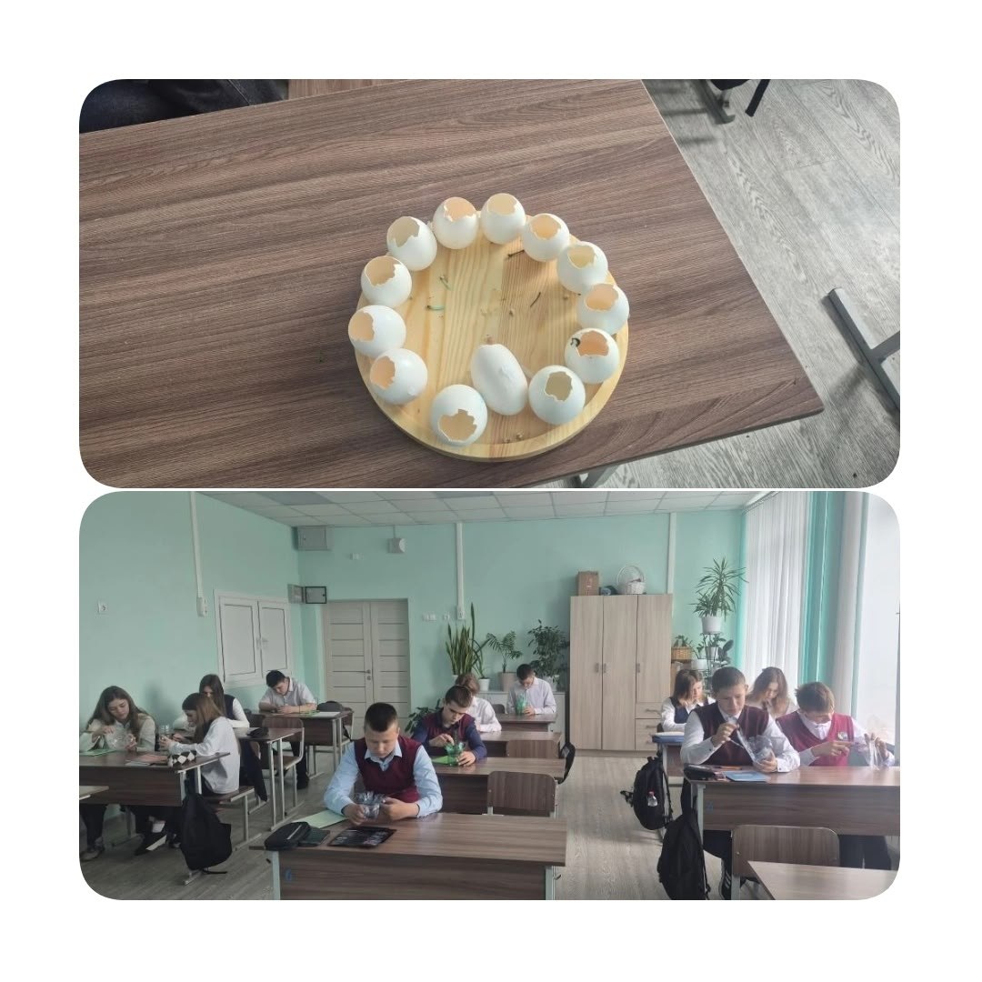 В рамках внеурочной деятельности "Разговоры о важном" в Фатежской школе №2 прошло занятие на тему "Дай отходам вторую жизнь" В рамках внеурочной деятельности "Разговоры о важном" в Фатежской школе №2 прошло занятие на тему "Дай отходам вторую жизнь"