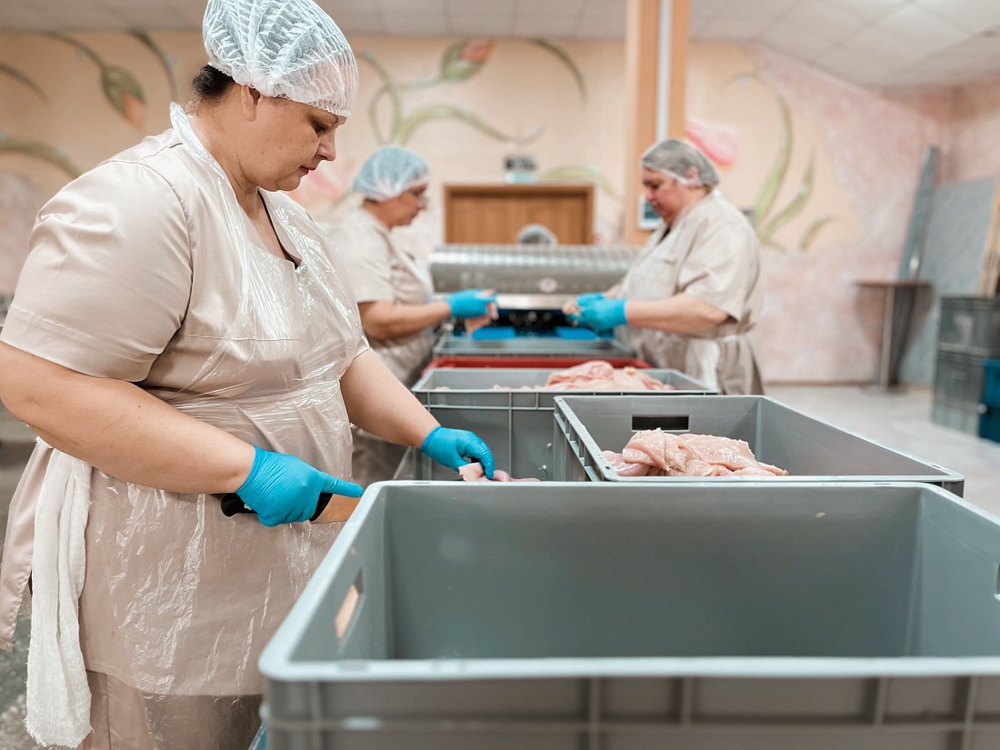 На железногорском предприятии «Здоровое питание» модернизирует производство с господдержкой