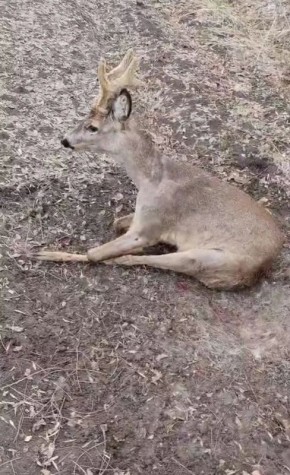 � ������� ������� ���� ���������, ������� ������ ���� ������ ������� ������