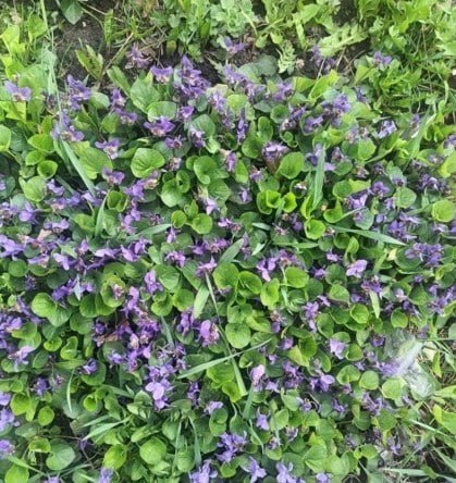 Игорь Корпунков: В Курчатове продолжается месячник по повышению уровня благоустройства и чистоты Игорь Корпунков: В Курчатове продолжается месячник по повышению уровня благоустройства и чистоты