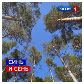 14 ������, �������. ������� ���� ��������� �� ����