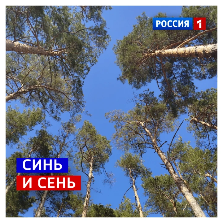 14 апреля, вторник. Сегодня День «Посмотри на небо»