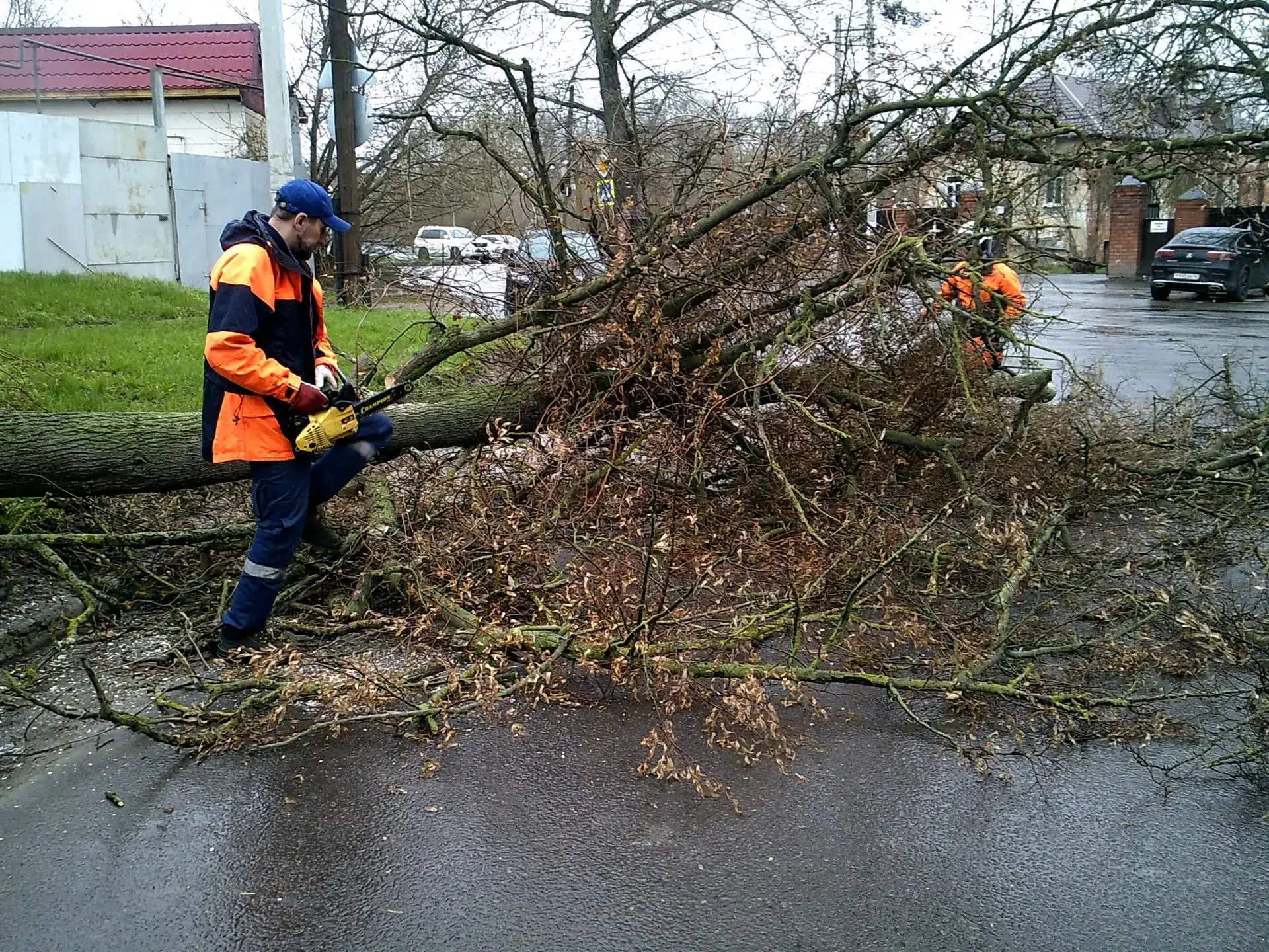 Спасатели ликвидировали последствия сильного ветра в Курске Спасатели ликвидировали последствия сильного ветра в Курске