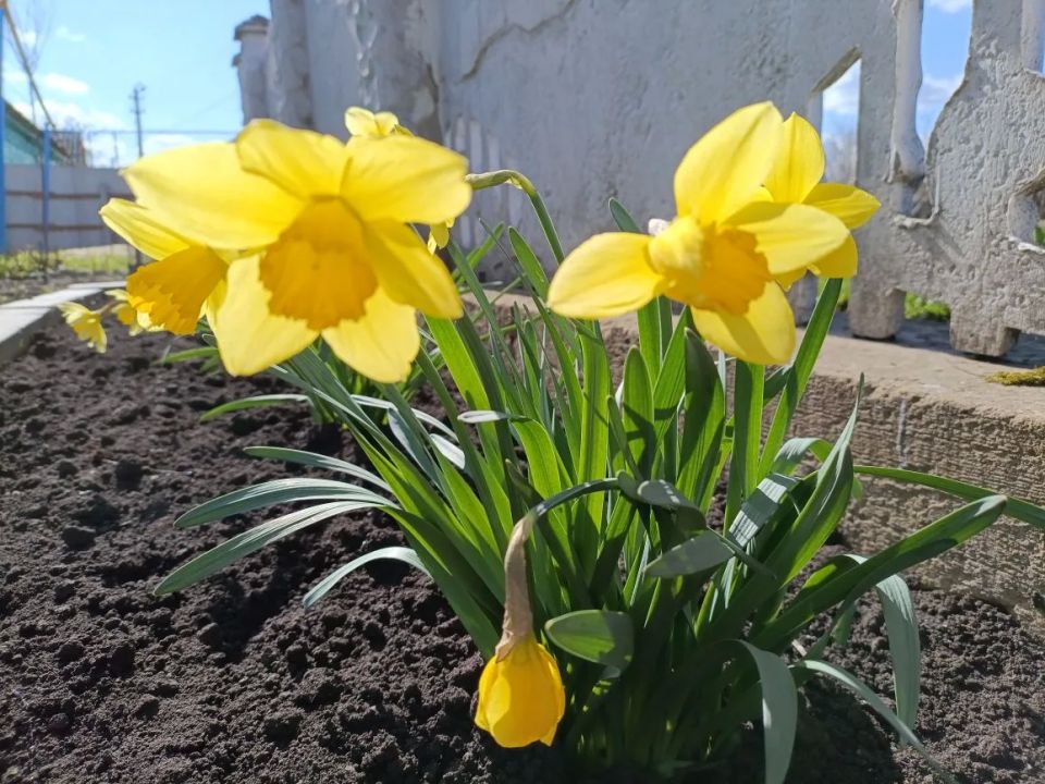 ������ ����!. ������� ����� ������� � ������������