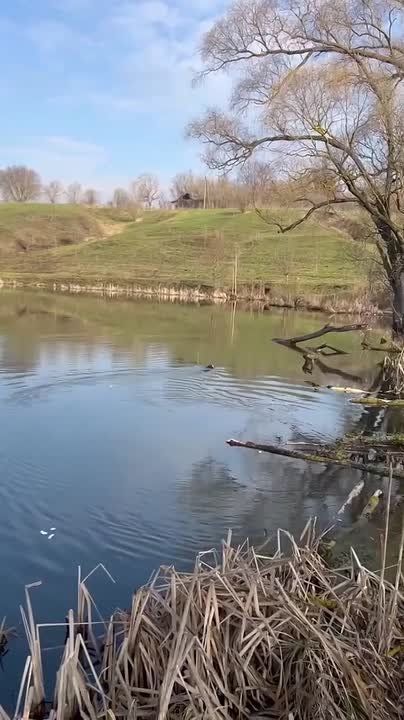 � ����������� ������ ������ �����