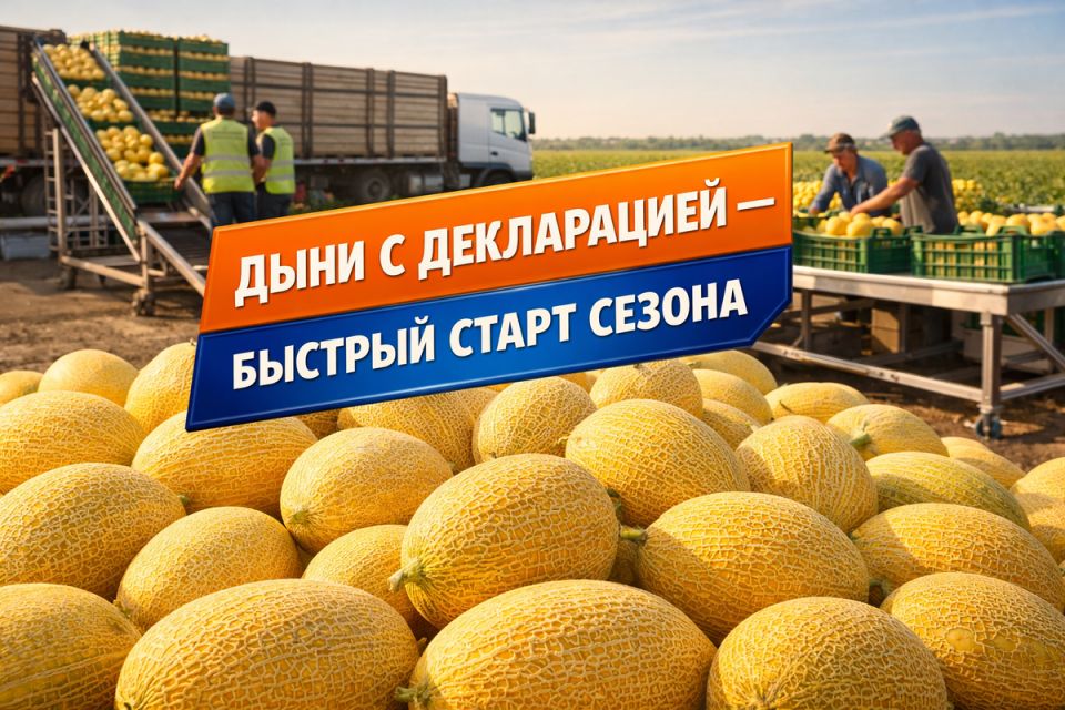 ���������� �� ����: ���, ��� ����� �����